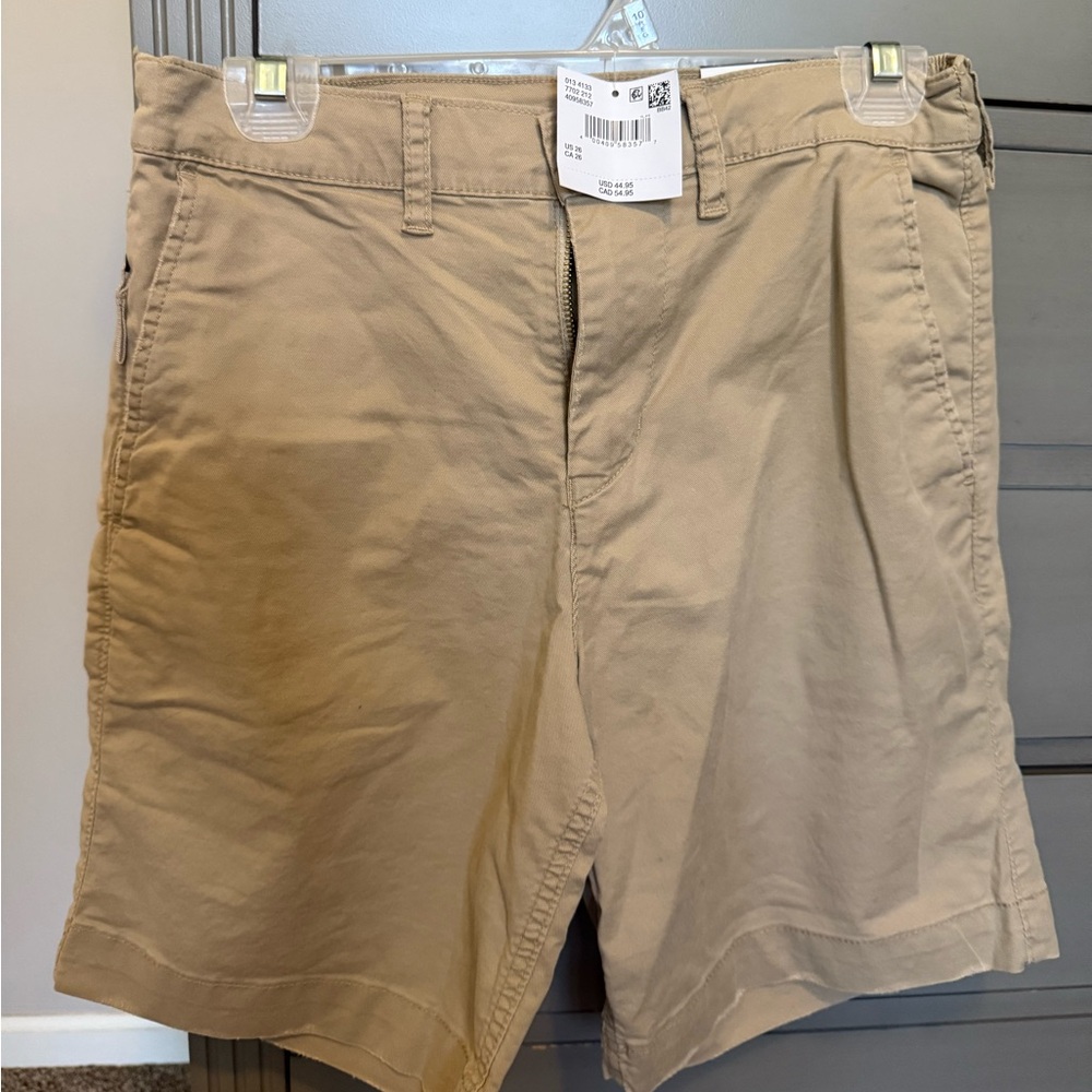 American Eagle Outfitters Tan Flat Front Casual Shorts